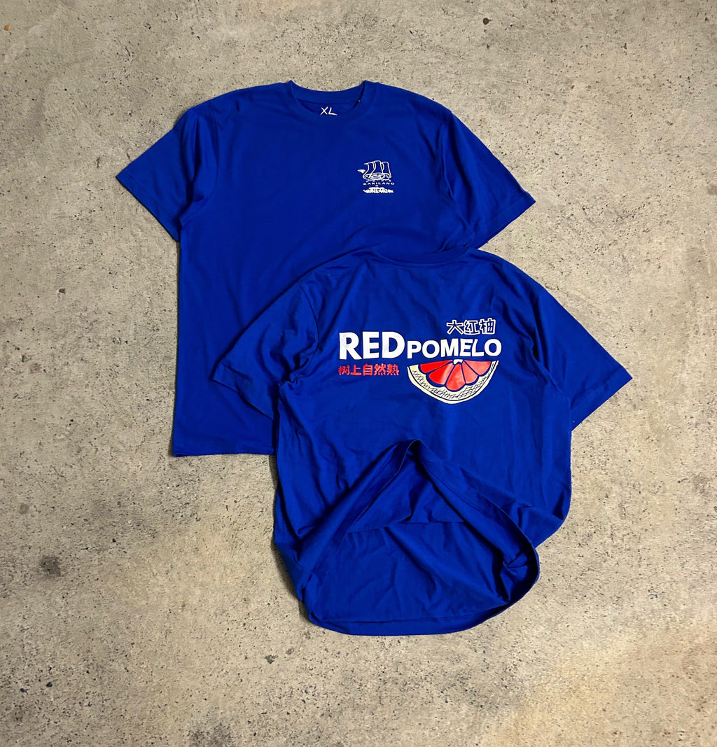 RED POMELO KAKILANG CNY TEE - BLUE